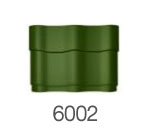 6002           